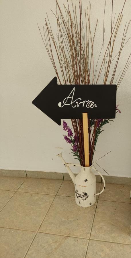 Appartement Avra Paralia Avlidhos